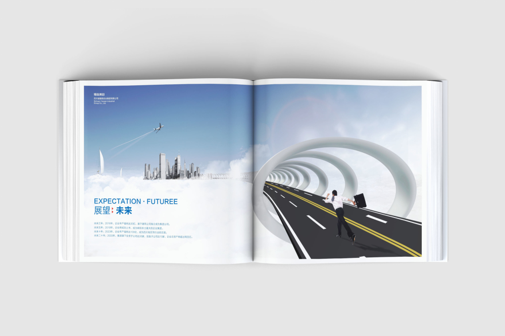 东丽区画册设计