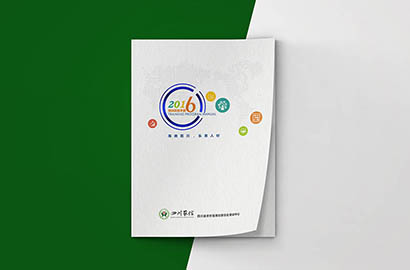 东丽区画册设计：以场景为媒，打造城市体验的全新入口